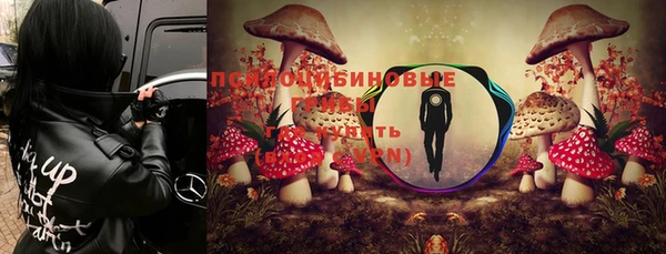 спайс Белоозёрский